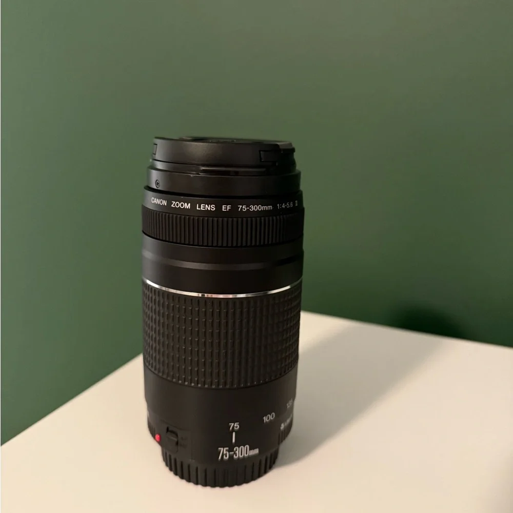 Canon EF 75-300mm / 4-5.6 III Lens